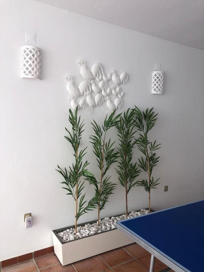 Ofir Beach House Bonanca Esposende Dış mekan fotoğraf