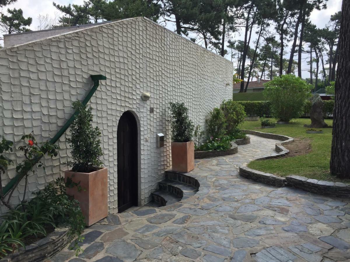 Ofir Beach House Bonanca Esposende Dış mekan fotoğraf
