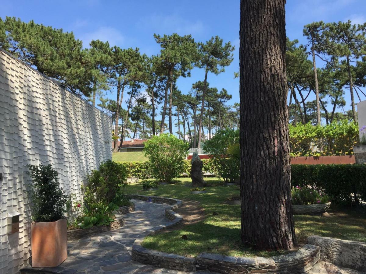 Ofir Beach House Bonanca Esposende Dış mekan fotoğraf